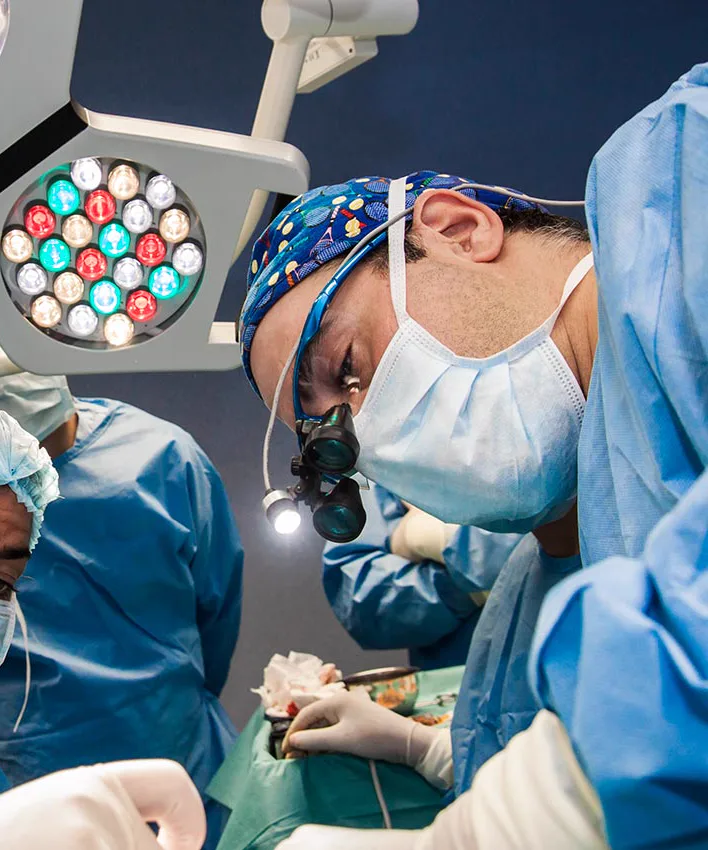 Cirurgia oral em curso no bloco operatório da Clitrofa